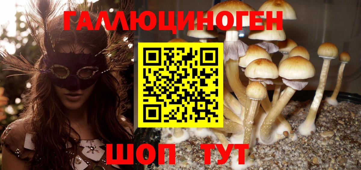 Галлюциногенные грибы Psilocybe Донецк