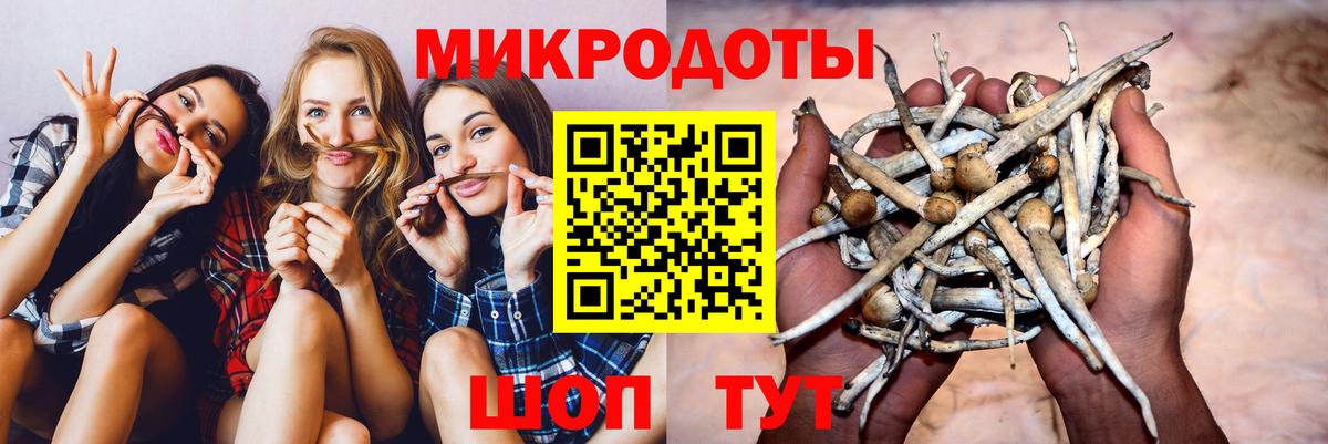 Донецк  Галлюциногенные грибы Cubensis  Вход с VPN 